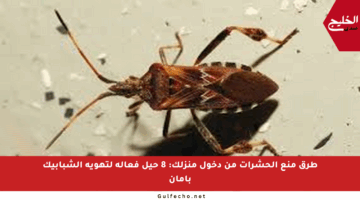 طرق منع الحشرات من دخول منزلك: 8 حيل فعالة لتهوية الشبابيك بأمان